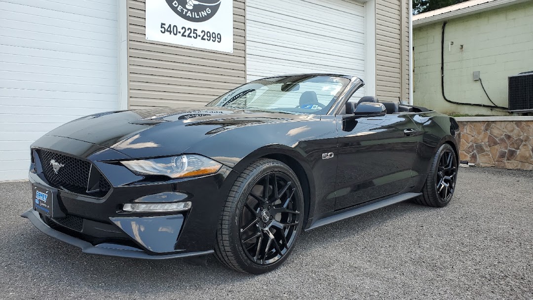 Black Mustang.